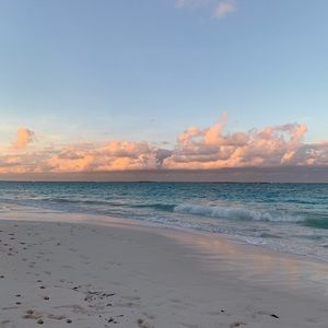 Meet your Posher, Isabel